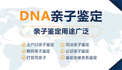 巴中正规的个人亲子鉴定机构去哪，巴中个人亲子鉴定费用是多少钱