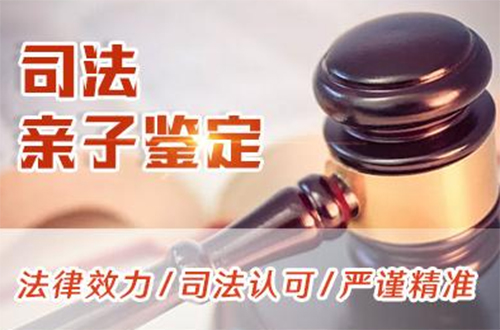 巴中司法亲子鉴定基本流程,巴中司法亲子鉴定费用是多少钱