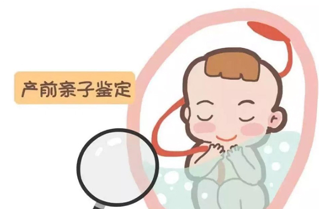 巴中胎儿亲子鉴定需要怎么办理,巴中孕期亲子鉴定多少钱的费用