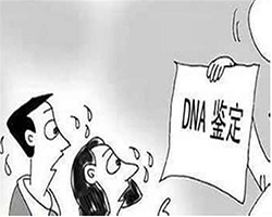 巴中有上户口亲子鉴定机构吗