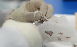 巴中司法DNA鉴定机构地址在哪里